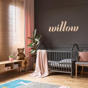 Baby Name Nursery Sign